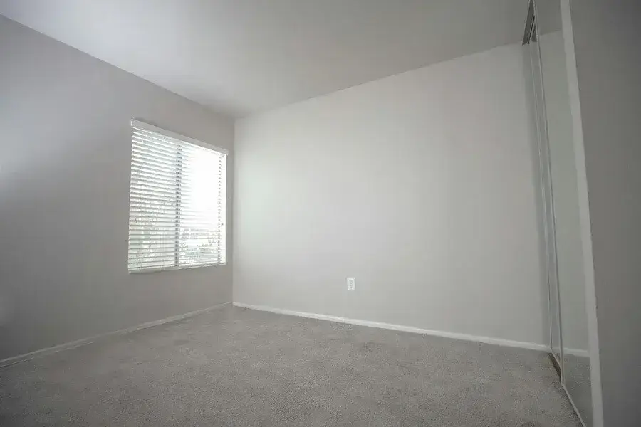carpet-cleaning